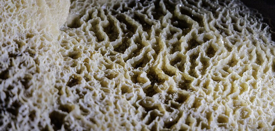 Schauhöhle Breitscheid Schauhöhle Breitscheid