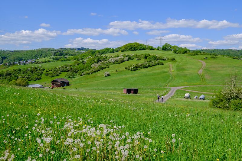 WesterwaldSteig Etappe 1 | Herborn - Breitscheid