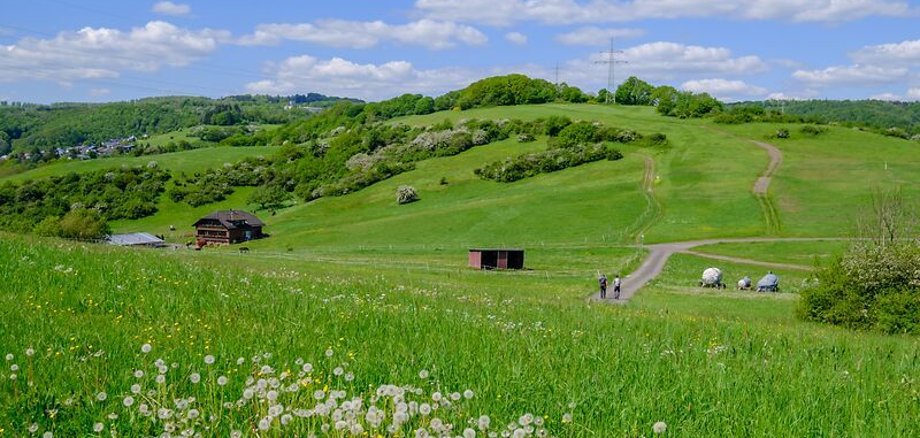 WesterwaldSteig Etappe 1 | Herborn - Breitscheid WesterwaldSteig Etappe 1 | Herborn - Breitscheid